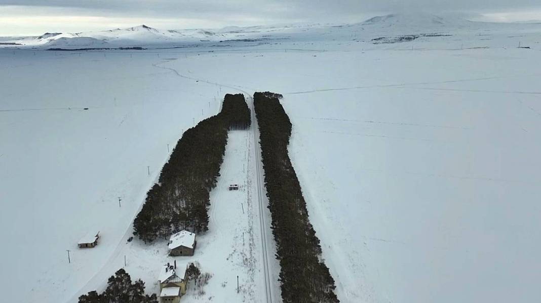 Karlar kraliçesinin saklı bahçesi gibi! Bozkırda yükselen yeşil cennet 7